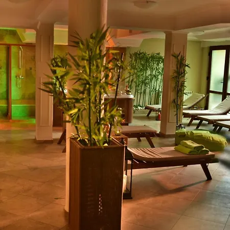 Mountain Boutique Family Hotel 3*